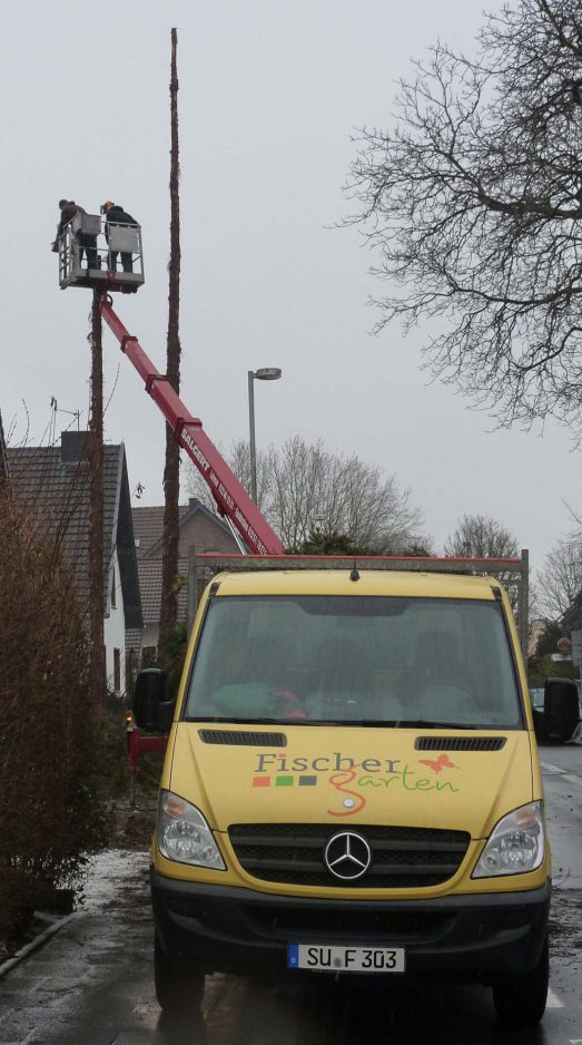 Gartenpflege – FischerGarten